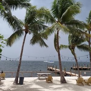 Meet your Posher, Bonnie